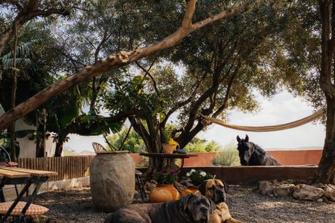 Landejendom i Telde, Gran Canaria, Telde - € 850.000 | Ref: 2026 - foto 24